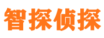 河池市场调查